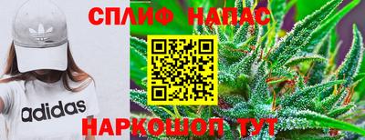 ECSTASY Краснодар