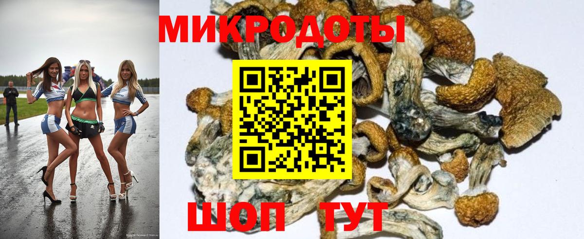 Галлюциногенные грибы ЛСД Саянск